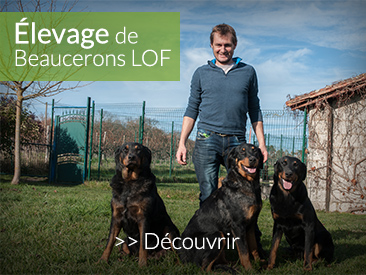 Élevage de Beaucerons